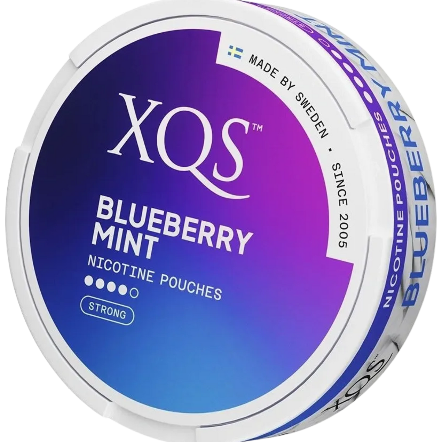 XQS Blueberry Mint - 10mg