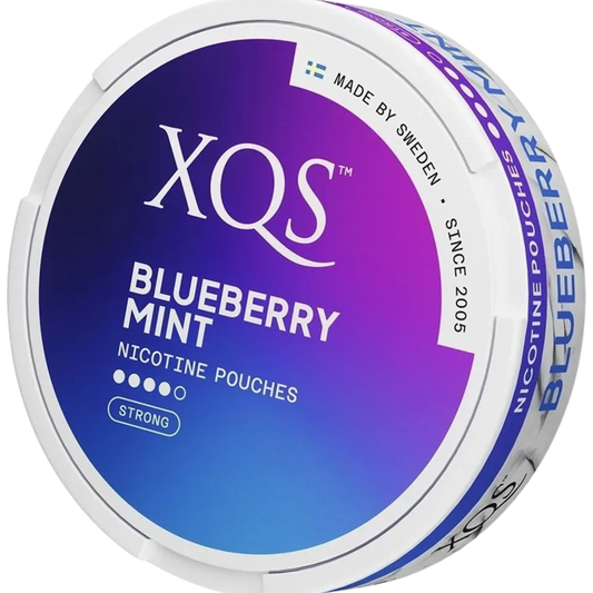 XQS Blueberry Mint - 10mg